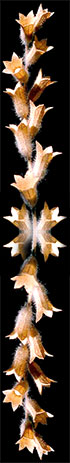 Stacks Image 1521